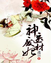 神医废材妃全文免费