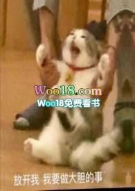 养猫有什么好处和坏处