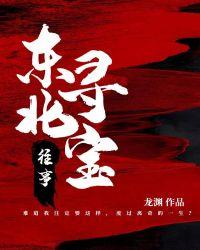 东北寻宝往事短剧