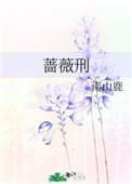蔷薇刑全文免