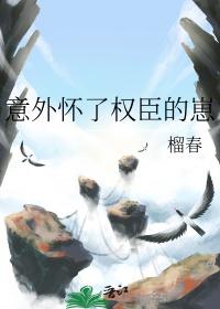 意外怀了权臣的崽txt