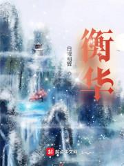 副书记胡衡华