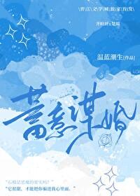 蓄意谋婚1到100集
