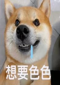娱乐与青梅竹马的小日常大狗