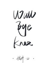 墙壁眼睛膝盖全文阅读金呆了