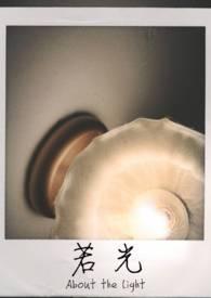 我将背负永夜前行什么意思